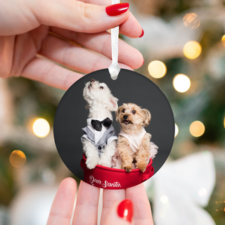 Custom holiday ornament with a cute photo of pets